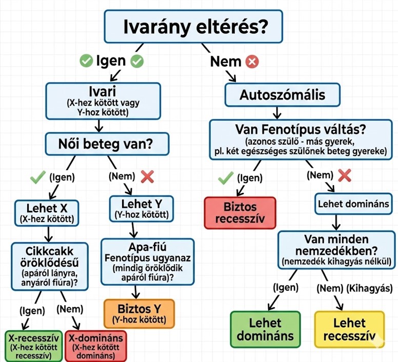 Családfa Elemző Döntési Fa